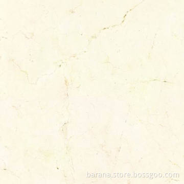 Glazed Tile (TR60013PA)
